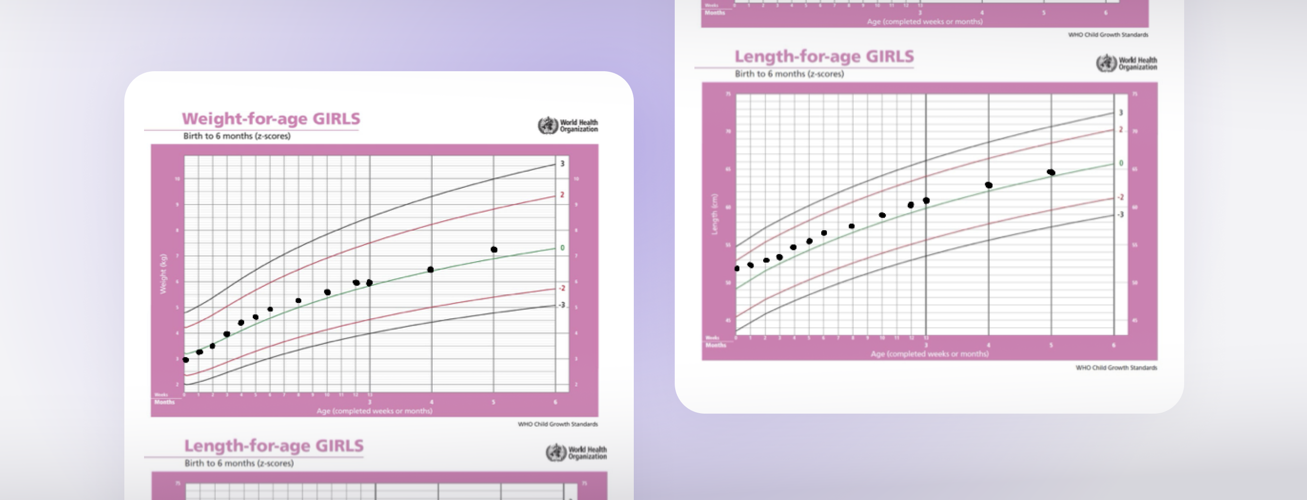Screenshot of a growth chart in Bookem